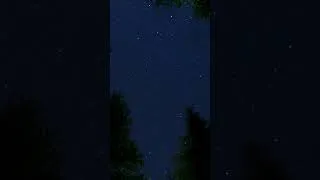 Miniature : This is just for one night 🌃 #shorts #newmusic