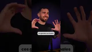 Miniature : 1 minute pour comprendre les surrénales