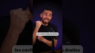 Miniature : 1 minute pour comprendre le fonctionnement du cœur 🫀