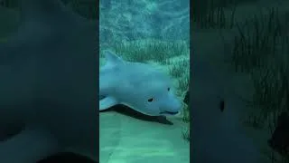 Miniature : Le Dauphin Est Malade ! 🐬 #robocarpolitélé #shorts