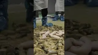 Miniature : IT: Welcome to Derry : Cornichons Live Action Pickles — Rodeo FX