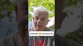 Miniature : Intestin cerveau