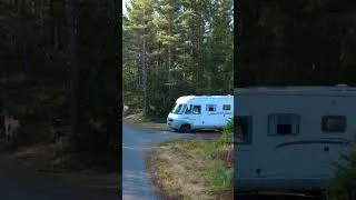 Miniature : En route pour le CAP NORD