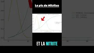 Miniature : Pic de nitrites ⚠️ Pourquoi c’est dangereux (et comment tester)  #CycleDeLAzote #PicDeNitrites