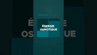 Miniature : 🌊⚡Énergie osmotique