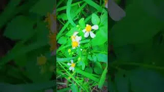 Miniature : Messages non envoyes  |  Short  #relaxingmusic  #song  #cinematicmusic  #popmusic  #studymusic