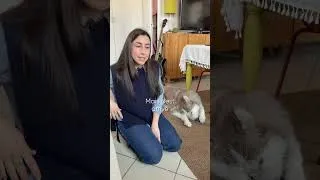 Miniature : Chez Rowenta on adore les animaux ! #pets #chiens #doglovers