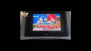 Miniature : Short Sonic & Knuckles