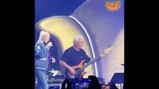 Miniature : 🎤 Dorothée présente Les Musclés à Bruxelles 🥁🔥 #Dorothée #Concert