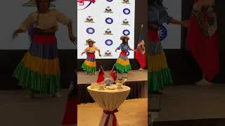 Miniature : Taïwan et Haïti célèbrent 70 ans d'amitié diplomatique | Taiwan actus | RTI
