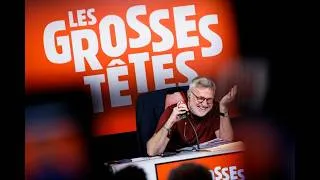 Miniature : Pour ou contre les méduses ? Les grosses têtes ouvrent le débat