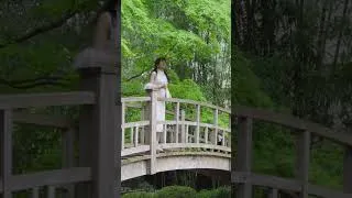 Miniature : IMMERSIF！Écoutons la pluie #japanesegarden #enjoyingeverydaylife #calming