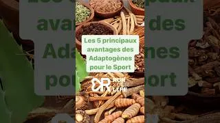 Miniature : Les 5 principaux avantages des plantes adaptogènes pour le sport 🍀