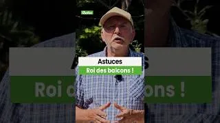 Miniature : Hubert Fontaine vous montre comment entretenir le géranium, "roi des balcons" 🌸