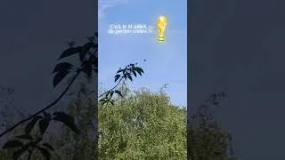Miniature : Allez les Bleus 🇫🇷🇫🇷 #humor #humour #worldcup #worldcup2026 #viral #viralvideo #viralshorts #shorts