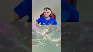 Miniature : Méga-Étouraptor ma meilleure méga en VGC