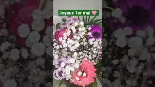 Miniature : Joyeux 1er mai 🍀 #1ermai #muguet #bonheur