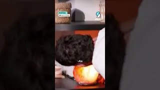Miniature : Il a vraiment croqué dans une lampe allumée là ? 😭