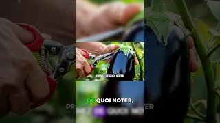 Miniature : Cette technique triple votre récolte de poivrons #farming #gardentips #harvest