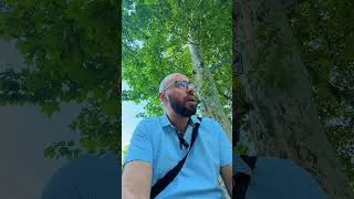 Miniature : Job étudiant en Hongrie 🇭🇺
