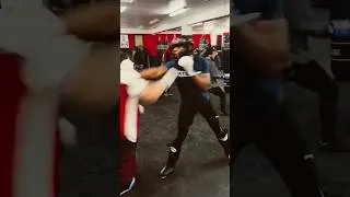 Miniature : Sparring #mma