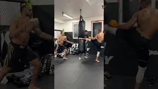 Miniature : 🔥🥵 #mma #mmafighter #kickboxing