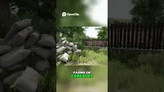 Miniature : #farming #questcequejedevraischoisir #farmingsimulator25 #fs1#humour #games #gaming