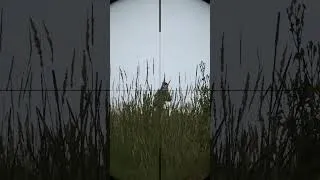 Miniature : Dayz 1v5 altar !  #dayz  #pvp