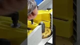 Miniature : Peut-on faire du beau avec une petite Holzprofi ?