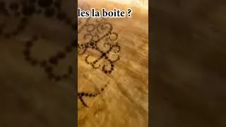 Miniature : 18 août 2023