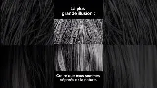 Miniature : La plus grande illusion de l’humanité