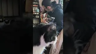 Miniature : J'apprends à jouer de la guitare et je ne suis pas bon pis c'est drôle. 100% joking.