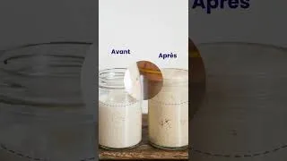 Miniature : Tuto Levain : Conserver ton levain sans stress