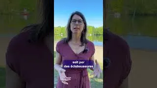 Miniature : Est-ce sécuritaire de se baigner dans un lac ou une rivière?