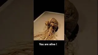 Miniature : I Said You Are Alive !