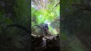 Miniature : 🎥 LA CAMÉRA CONTINUE SON CHEMIN SEULE... #VTT #Insta360X5 #RandoDesLacs #Badonviller #MTB #VTTAE