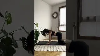 Miniature : Exercices pour renforcer ses abdos profonds 🔥