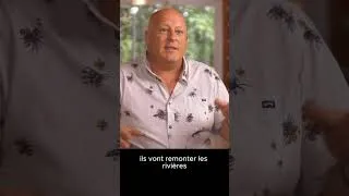Miniature : C'est pour évoluer!