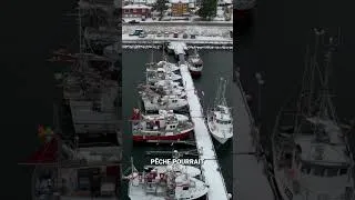 Miniature : 6A Arctique et Antarctique face aux changements climatiques  entre vulnérabilités et convoitises  An