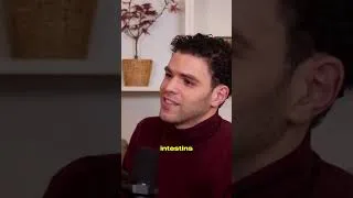 Miniature : Les Proles du Prophète sws au sujet d’un compagnon converti à l’Islam #ramadan  #converti #islam