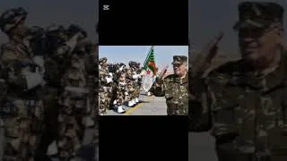 Miniature : L’arme secrète de l’Algérie que personne n’attendait... 🇩🇿