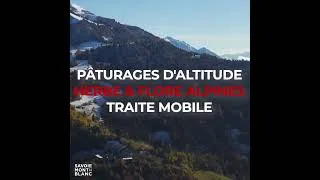 Miniature : Les fromages de Savoie AOP, IGP - de Savoie ou de Haute-Savoie tous délicieux.