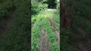 Miniature : Agriculture.