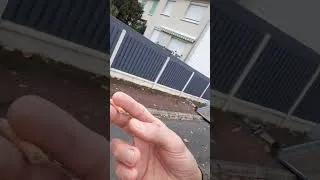 Miniature : Samsung camera selfie A20e sample test