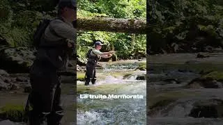 Miniature : Pêche en Italie 3eme et dernier épisode en ligne ! #pêche #scarnafishing #visittrentino