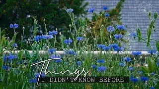Miniature : #Shorts [SUB] FRAGRANT BALCONY GARDEN BLOOPERS | Small Balcony Makeover Outtake #UrbanGardening 2021