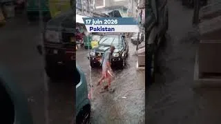 Miniature : NOUVELLES CLIMATIQUES 17 juin 2026