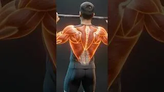 Miniature : Les 15 SEULS Exercices dont tu as besoin #Musculation #Biomécanique #Pectoraux
