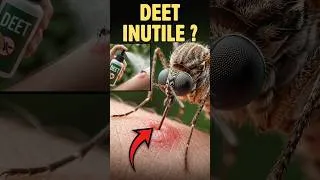 Miniature : Le plus célèbre répulsif attire à présent les moustiques