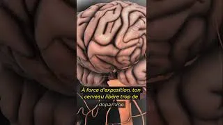 Miniature : Ce que l’hypersexualisation fait à ton cerveau est FLIPPANT… 🧠⚠️